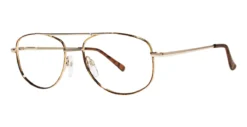 Modern Metals Joel Glasses -Carrera Shop 2260e054