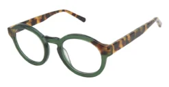 Ted Baker B990 Glasses