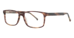 Shuron Ronsir Zyl Glasses -Carrera Shop 642bb055