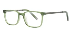 Steve Madden Favien Glasses