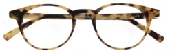 Dolomiti Eyewear Panto 7 Glasses -Carrera Shop panto 7 japanese tortoise